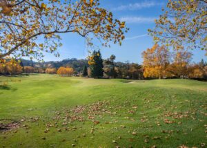 Autumn golf course with colorful trees and fallen leaves under a blue sky.