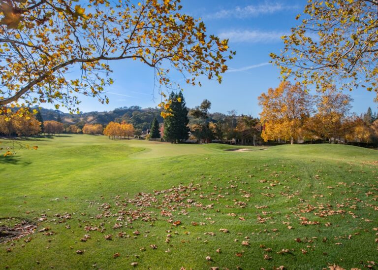 Autumn golf course with colorful trees and fallen leaves under a blue sky.